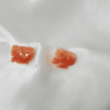 boucles d'oreille oiseau en corail